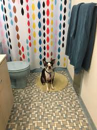 Whether you start with a pattern or create a free form version, designing backsplashes are enjoyable and powerful with this chameleon power tool. The Daltile Mosaic Designer Tool Is Back Retro Renovation