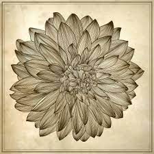 Drawing Of Dahlia Flower On Grunge Background Element For Your Ink Drawing Dahlia Flower Dahlia Flower Tattoos
