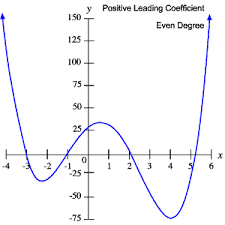 Biomath Polynomial Functions