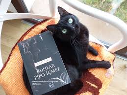 Moonlightcat13 Ruhlar Pipo Icmez Rafet Elci Romanlar