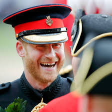 Prince Harry Makes Surprise TV Cameo to Support Veterans