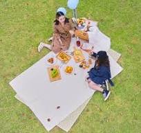 Canvas Double Picnic Mat - Mobi Garden