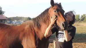 Start by marking l'homme qui murmurait a l'oreille des chevaux as want to read Gratentour Pianiste Il Murmure A L Oreille Des Chevaux Ladepeche Fr