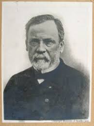 Discovering Diseases: The Beginnings of Germ Theory and Preventative  Precautions