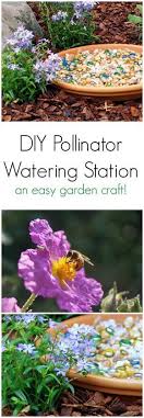 Rette Die Bestauber Mit Einer Honigbienen Wasserstation Im Garten In 2020 With Images Pollinator Garden Design Bee Friendly Garden Easy Garden