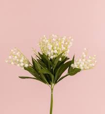| / find preserved flowers, like this terra cotta orange gypsophila. Lily Of The Valley Bunch Ji2471 Ji2471 Silkflora Artificial Flowers