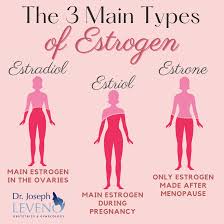 Image result for Estrogen