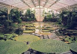 Bis 15.07.2018 kunstausstellung von bernd hansen im glashaus; Mit Schmetterlingen Im Bauch Durch Den Botanischen Garten Mit Vergnugen Munchen