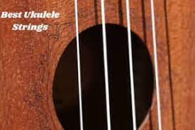Capsules coffee machines do not require some specific ability and skills like barista to make coffee. Best Ukulele Strings Reviews In 2021 Tips To Buy Ukuleles Review