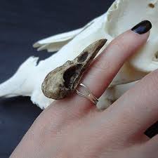 Mini Raven Skull Ring 1 5 Bird Skull Cast Bone By Ravenranch 23 95 Bird Skull Bird Skull Jewelry Raven Skull Necklace