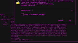 Plug it in when you get there, unlock it, and copy the private key to client's system. How To Make A Pgp Keypair Using Gpg And Communicate In Absolute Privacy Linux Mac Public Private Keys Encrypt Decrypt Messages Sick Codes Security Research Hardware Software