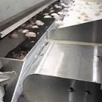 Garlic Color Sorter Machine