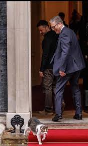 The Polish President's photographer caught tripping over Larry the Cat outside 10 Downing Street as President Nawrocki watches him.