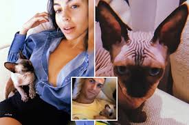 ❥pagina fan❥ |i don't own any photo. Cristiano Ronaldo And Girlfriend Georgina Rodriguez Heartbroken As 2 600 Pedigree Cat Pepe Is Hit By Car In Turin Globe Health News