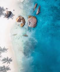 Bright Side (@brightsidebrooklyn) • Instagram photos and videos