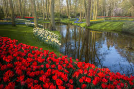 The best part is for each flower we offer additional articles that list out more types with more information. The Most Beautiful Flower Garden In The World Without People Petapixel