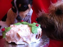 Doggie Licious Christmas Cake Recipe Christmas Cake Christmas Cake Recipes Cake Recipes
