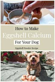 Can Dogs Eat Egg Shells The Opulent Hound Recipe Can Dogs Eat Eggs Eggs For Dogs Can Dogs Eat