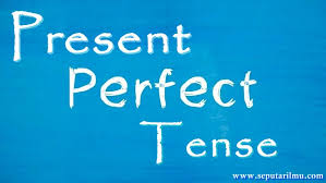 Dan artinya beberapa contoh kalimat simple past tense berikut ini saya bagi dalam bentuk positif, negatif dan interrogatif dalam format kalimat verbal dan nominal disertai dengan artinya. Present Perfect Tense Pengertian Fungsi Rumus Contohnya