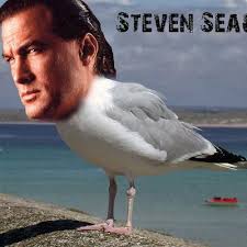 Steven Seagal Facts (parody) (@SteveSegalFacts)