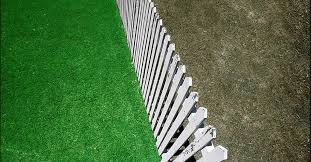 Grass Is Greener Syndrome Relationship Effects
