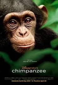 Chimpanzee Disney Nature Series Movie 2012 Guide And Review For Teachers And Parents Chimpanzee Chimp Family Movies