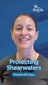 Yesterday's news about @Federazzjoni Kaccaturi Nassaba Konservazzjonisti