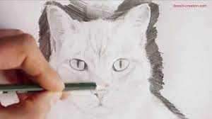Tuto : Comment dessiner un chat de face (Episode 3) - technique simple par  Léo Dessin - YouTube