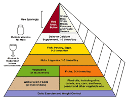 The Food Pyramid Find Baby Care Information Huggies