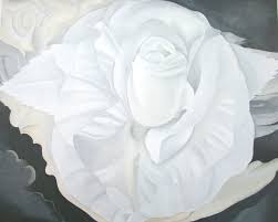 This exhibition brings together some of her most important works, including jimson weed/white flower no. White Rose New Mexico By Georgia O Keeffe Print From Print Masterpieces All Artwork Can Be Optionally Framed Print Masterpieces Curated Fine Art Canvas Prints And Oil On Canvas Artwork
