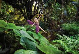 Maybe you would like to learn more about one of these? 2020 Lavazza Calendar