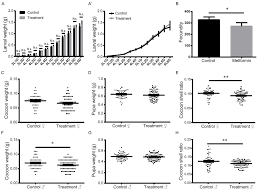 Metformin prolongs lifespan through remodeling the energy distribution  strategy in silkworm, Bombyx mori