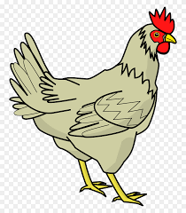 Apr 09, 2015 · lettuce, tomatoes, and strawberry tops have proved to be favorites of our chickens. Chicken Coloring Sheets Free Printable Easter Basket Clipart Black And White Stunning Free Transparent Png Clipart Images Free Download