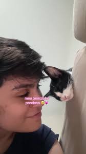 Gatos Fofos e Música que Acalma