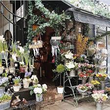 Pin On Home Ideas