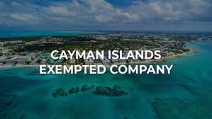 Why open a bank account in cayman islands? A Guide To Exempted Company In Cayman Islands