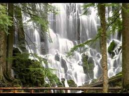 Resultado de imagem para cACHOEIRAS COM JARDINS E PÃSSAROS