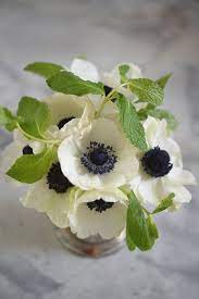 Petite Flower Herb Arrangements Simple Flowers Beautiful Flowers Pretty Flowers