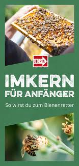 Imkern Fur Anfanger So Wirst Du Zum Bienenretter Imkerei Fur Anfanger Imker Bienenzucht Im Garten