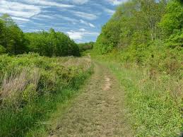 Sourland Mountain Preserve Somerset County