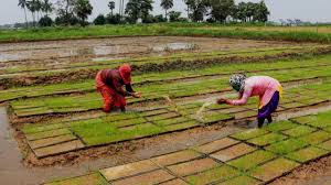 Karnataka land reforms gamble could upend the rural economy