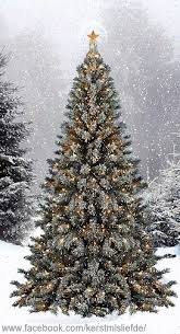 Starry nights so still and blue, good friends. Https Encrypted Tbn0 Gstatic Com Images Q Tbn And9gcsoh2vqbqgrszrejwiyxksn01lpj3095vtmrq Usqp Cau