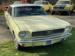 Image result for Springtime Yellow 1966 Mustang