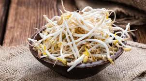 Cuci kacang hijau sampai bersih (kalau tidak bersih, toge yang dihasilkan agak kecoklatan) rendam kacang hijau semalam. Cara Membuat Tauge Sendiri Di Rumah Mudah Banget Coba Yuk Lifestyle Fimela Com