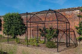Gardener's vertex lifetime pepper and eggplant cage. Dome Roof Heavy Duty Steel Decorative Fruit Cage Harrod Horticultural