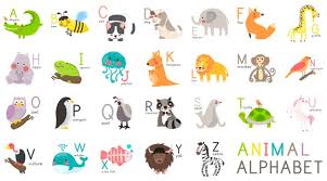 Abc Vectors Photos And Psd Files Free Download