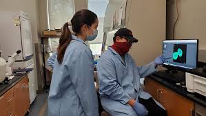 To obtain the best experience, we recommend you use a more up to date browser (or turn off compatibility mode in internet explorer). Taking Inspiration From Nature For Late Stage Cancer Care Texas A M University Engineering