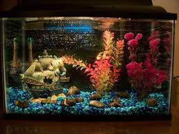 Unfortunately, it's common to see betta's housed in tiny plastic bowls. 27 Betta Fish Tank Ideas Wonderfully Creative Designs