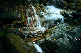 Image of Kiliyur Water Falls In Yercaud, Tamilnadu, India. Long Exposure  Water Fall Photography-LS957914-Picxy