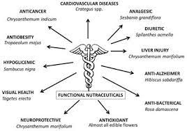 Such flowers are perfect to add to a salad, because Frontiers The Biodiversity Of Edible Flowers Discovering New Tastes And New Health Benefits Plant Science